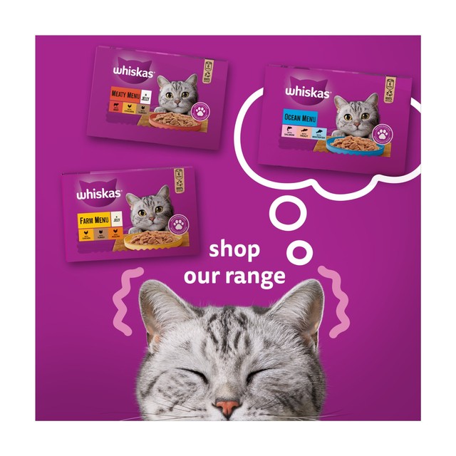 Whiskas Farm Menu wet cat food 6x390g cans (British brand)