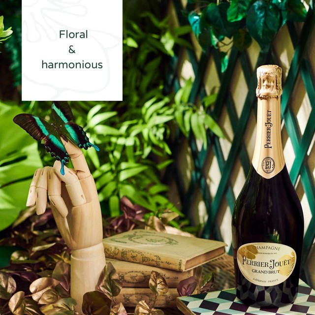 Perrier-Jouet Champagne Grand Brut Non-Vintage Half Bottle, imported from the UK