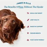 James & Ella freeze dried raw beef dog topper 50g, UK version