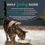 Encore Tuna & Prawn cat food pouch 70g - British product