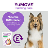 Lintbells dog stress and anxiety calming supplement (British brand)