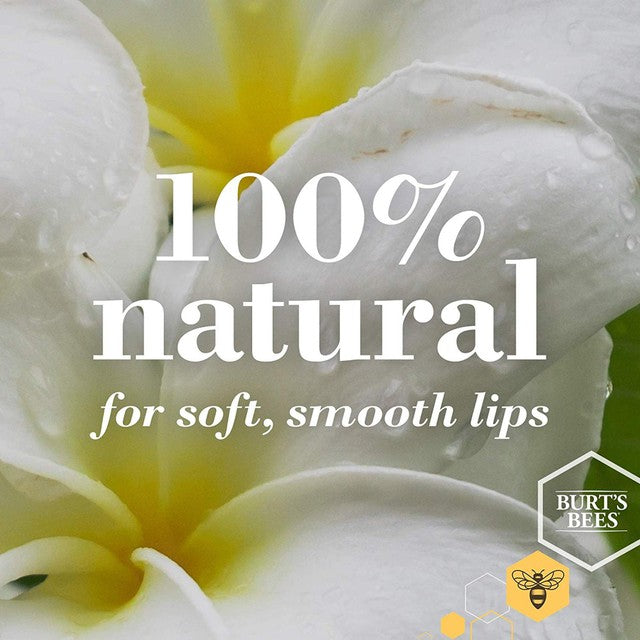 Burt's Bees Moisturising Vanilla Bean Lip Balm 4.25g - British product