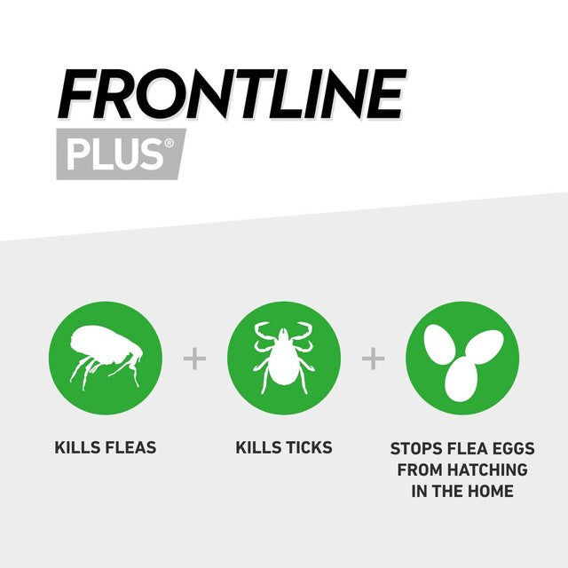 Frontline Plus flea and tick treatment for medium dogs 10-20kg - British product