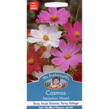 Mr Fothergill's Seeds Cosmos Sensation Mixed flower seeds - British product