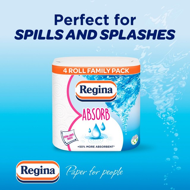 Regina Absorb kitchen roll 300 supersized sheets, imported from the UK
