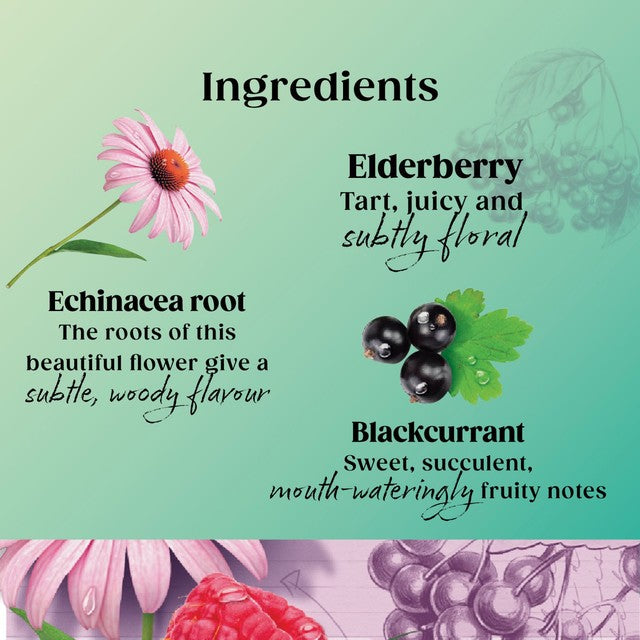 Twinings herbal tea blackcurrant raspberry 20 teabags (British brand)