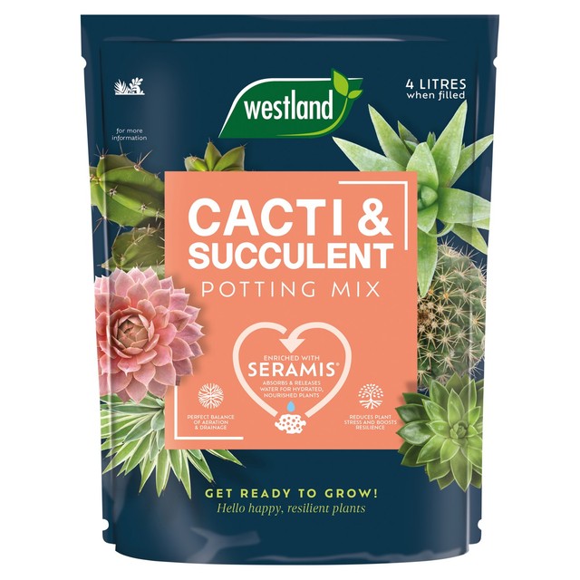 Westland cacti and succulent potting mix 4L (British brand)