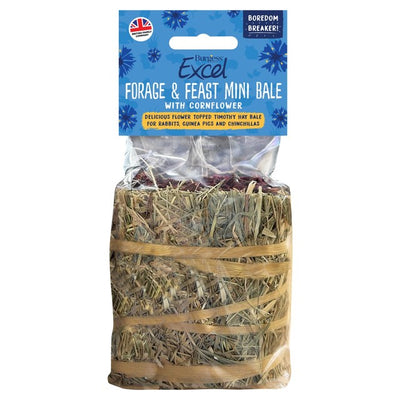 Burgess Excel Forage and Feast Hay Bale with Cornflower Pet Hay Bale 100g
