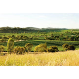 Jim Barry McRae Wood Clare Valley Shiraz 75cl, UK version