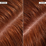 Philip Kingsley No Scent No Colour conditioner 200ml, imported from the UK