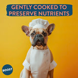 Boost Pet Fish Supper dog food 400g - British product
