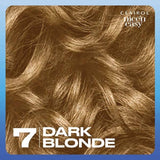 Clairol Nice'n Easy 7 dark blonde hair dye - British product