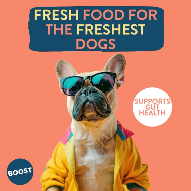 Boost Pet chicken with superfoods wet dog food 400g - British product