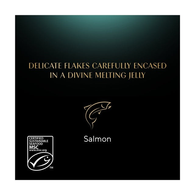 Sheba wet cat food salmon jelly 85g (British brand)