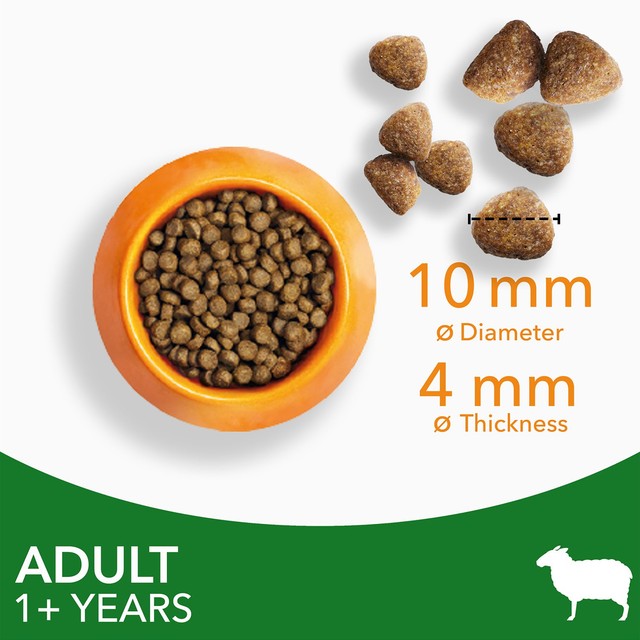 Iams dry cat food with lamb 800g, UK version