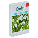 Sainsburys Garden Snowdrops x15