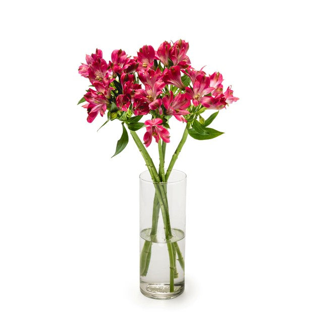 MM Flowers cerise Alstroemeria cut flowers 5 stems 40cm - British product