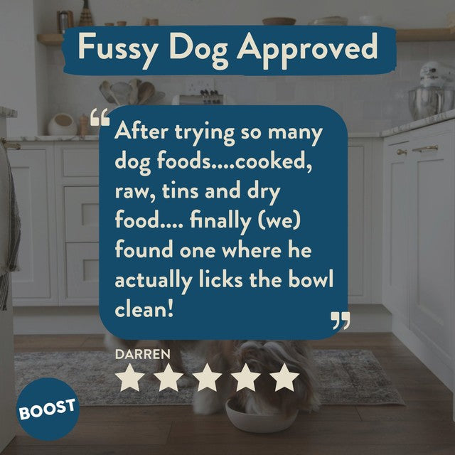 Boost Pet beef with superfoods wet dog food 400g - British product