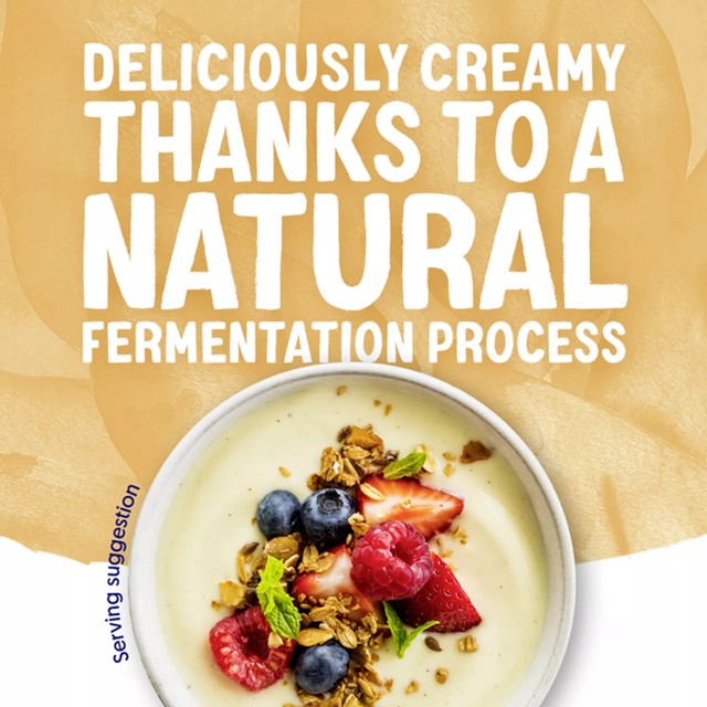 Alpro vanilla soya yoghurt alternative 500g - British product