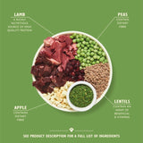 Lily's Kitchen lamb shepherd's pie adult dry dog food 7kg, UK version