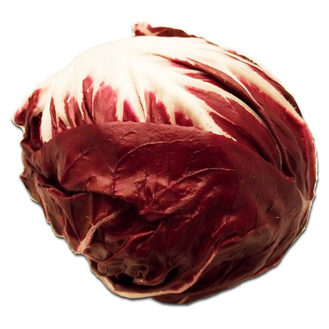Natoora Italian Radicchio di Chioggia leafy vegetable, imported from the UK