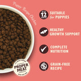 Lily's Kitchen chicken and salmon puppy dry dog food 2.5kg, UK version