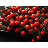 M&S Piccolini vine tomatoes 360g, imported from the UK