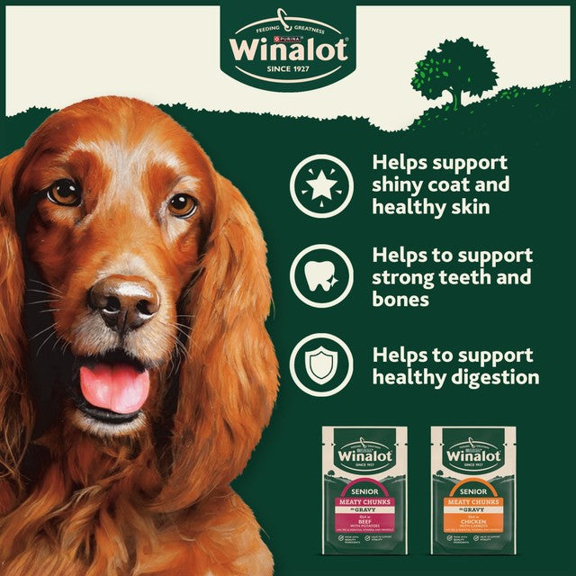 Winalot senior wet dog food 12x100g pouches (British brand)