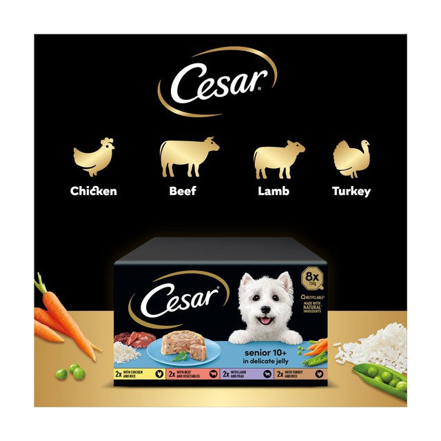 Cesar senior wet dog food trays with four recipes 8x150g - British product