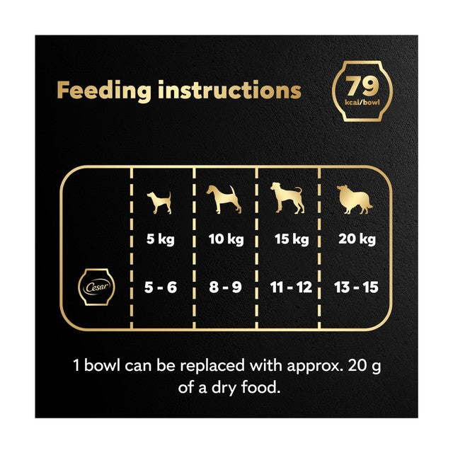 Cesar wet dog food Chicken Duck Taster 6x85g - British product