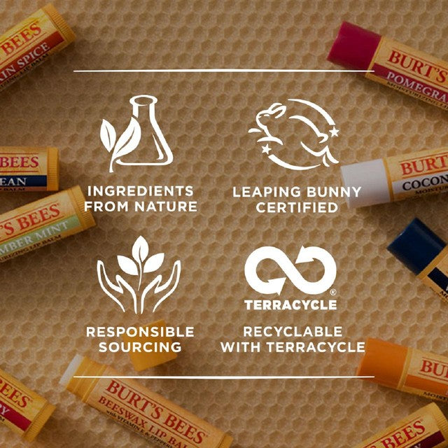 Burt's Bees lip balm set original beeswax and honey 4 x 4.25g - British product