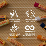 Burt's Bees lip balm set original beeswax and honey 4 x 4.25g - British product