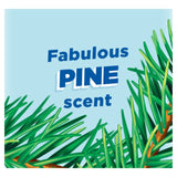 Toilet Duck pine toilet cleaner 750ml - British product