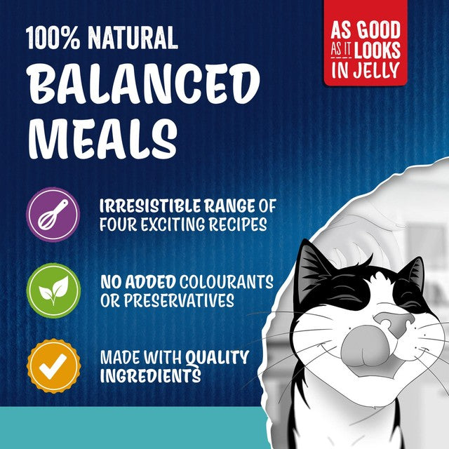 Felix wet cat food Ocean Feasts 40 x 85g - British product