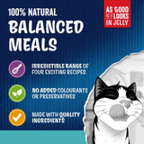 Felix wet cat food Ocean Feasts 40 x 85g - British product