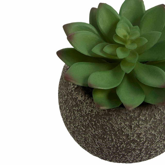 M&S green artificial succulent pot one size, imported from the UK