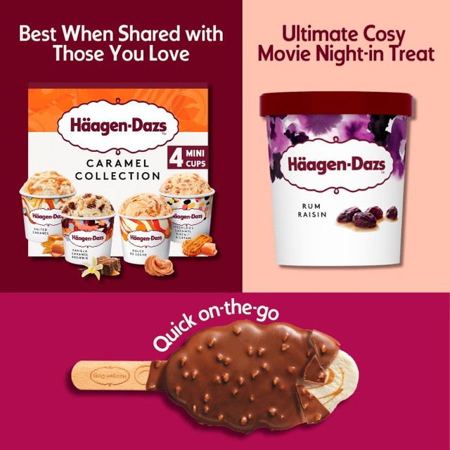 Häagen-Dazs rum and raisin ice cream 460ml, UK version