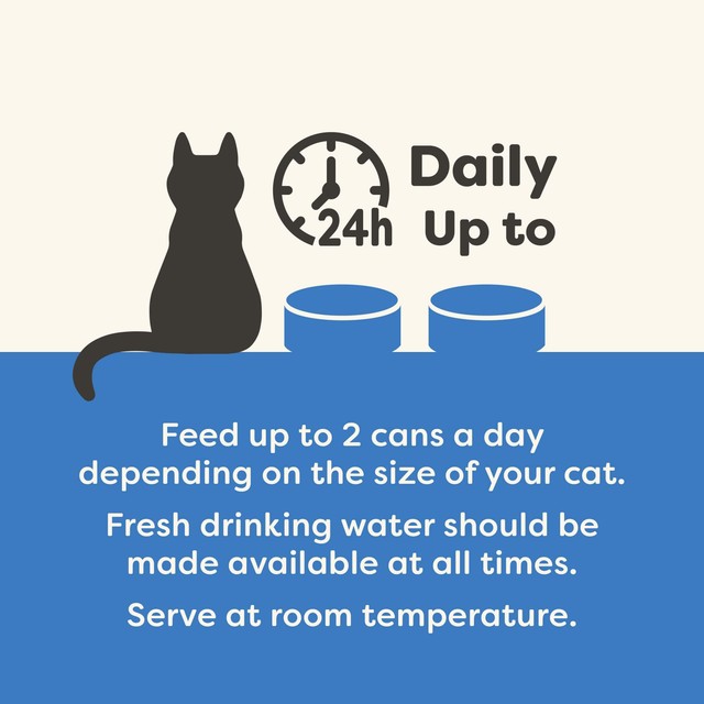 Applaws Tuna with Prawn cat food tin 70g - British product