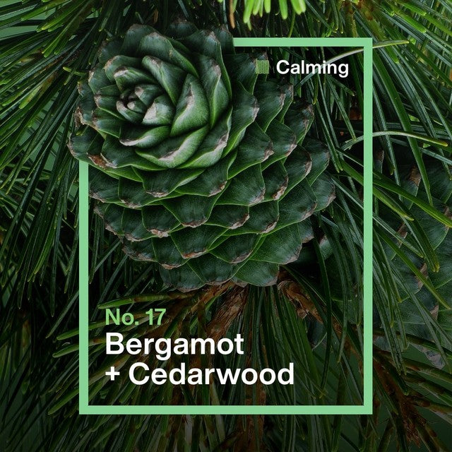 INEOS washing up liquid bergamot cedarwood 500ml, UK version