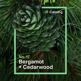 INEOS washing up liquid bergamot cedarwood 500ml, UK version