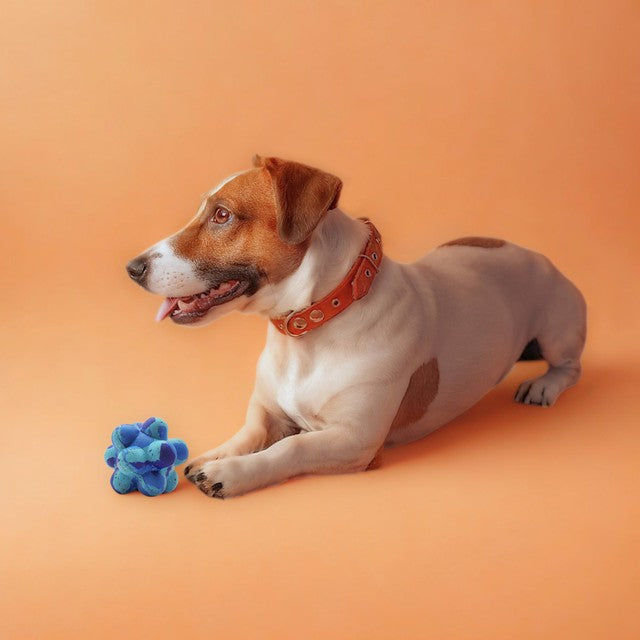 Nike MaxGrind Pop It Dog Toy Small / Medium