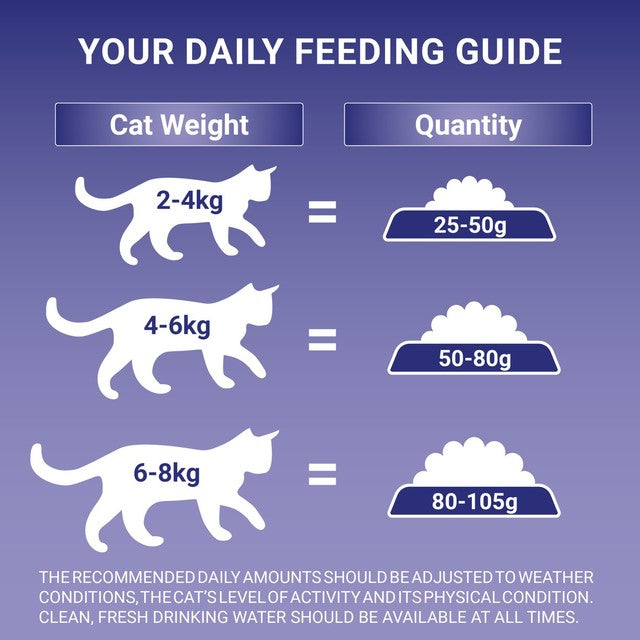 Purina One Senior Dry Cat Food Chicken 750g, imported from the UK