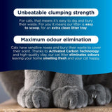 Ever Clean extra strong scented clumping cat litter 10L - British product