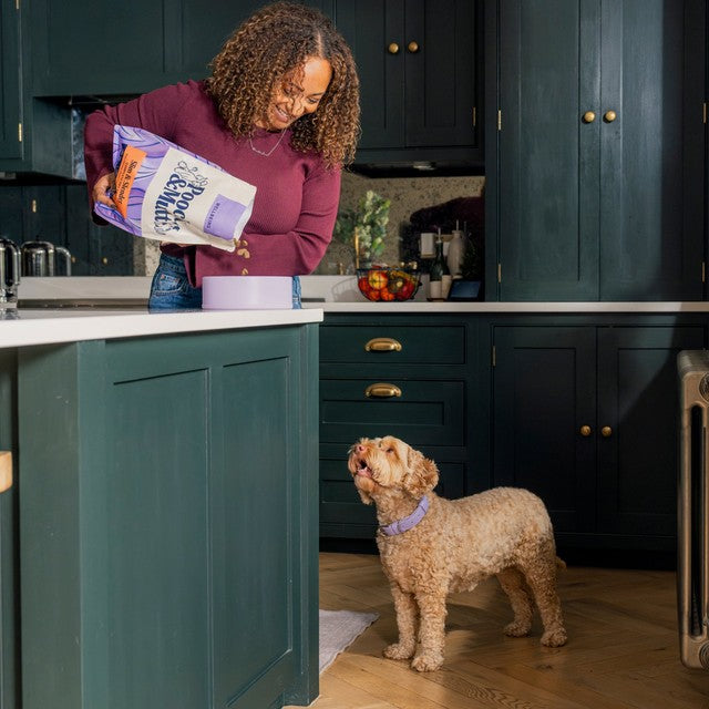 Pooch & Mutt Slim & Slender dry dog food 2kg, imported from the UK