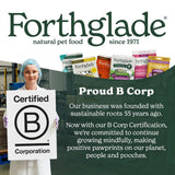 Forthglade Natural Grain-Free Plant-Based Dental Sticks 20 per pack - British product