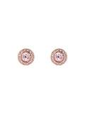 Ted Baker crystal stud earrings rose gold tone (British brand)