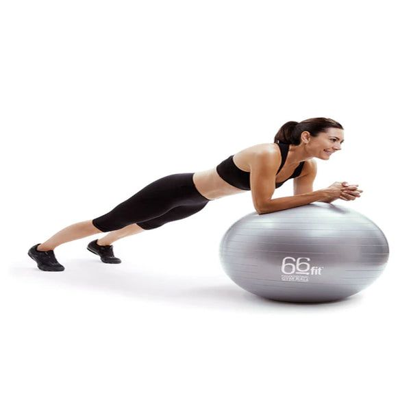 66fit Exercise Balls 60cm - Silver - McGrocer