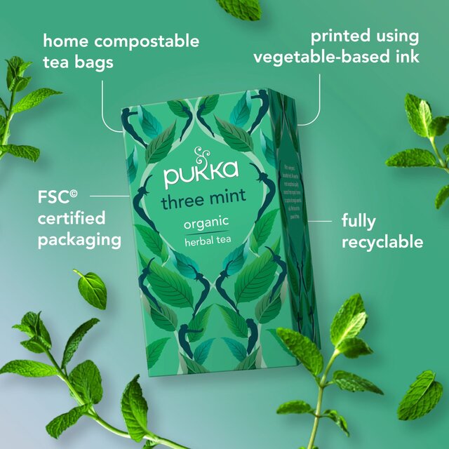 Pukka Organic Three Mint Tea 20 Home Compostable Herbal Tea Bags 32g   20 per pack - McGrocer