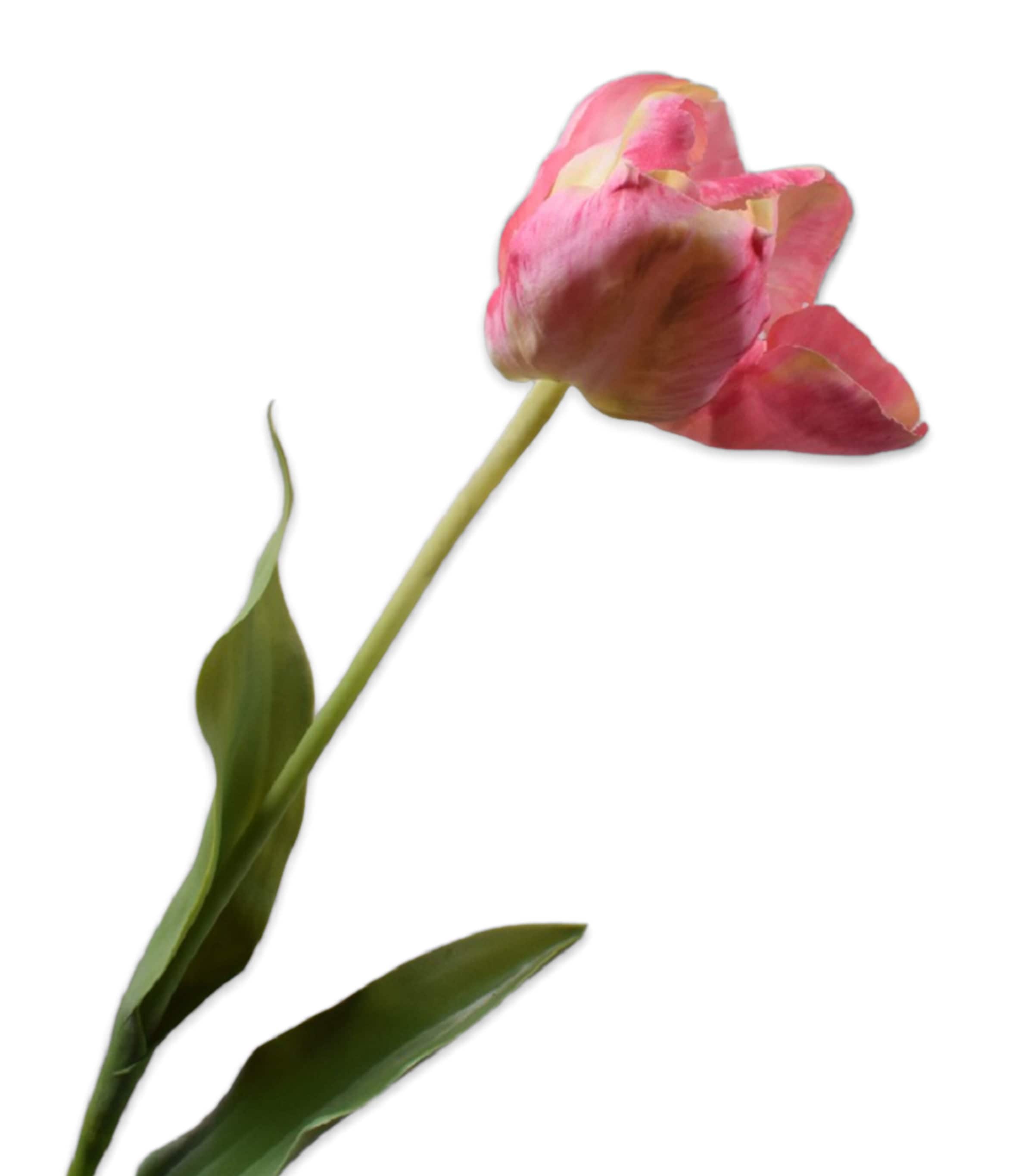 Silk-Ka Artificial Tulip Flower