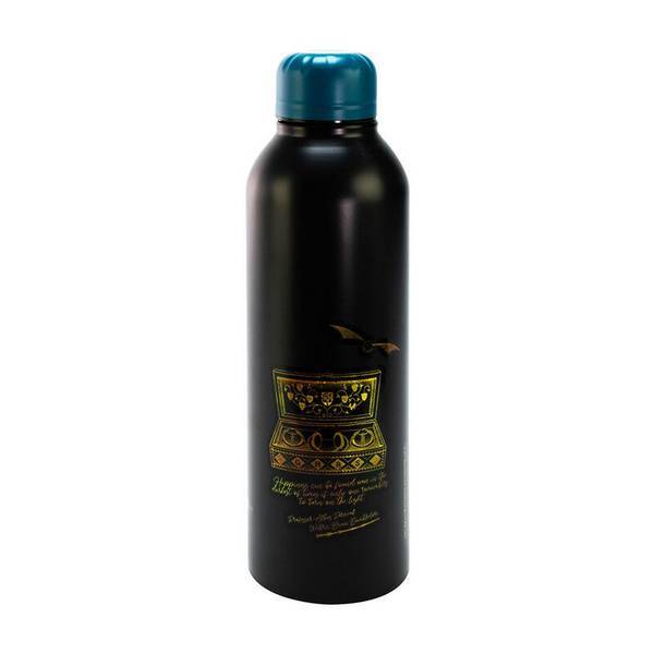 Harry Potter Steel Water Bottle 700ml Capacity, UK version.